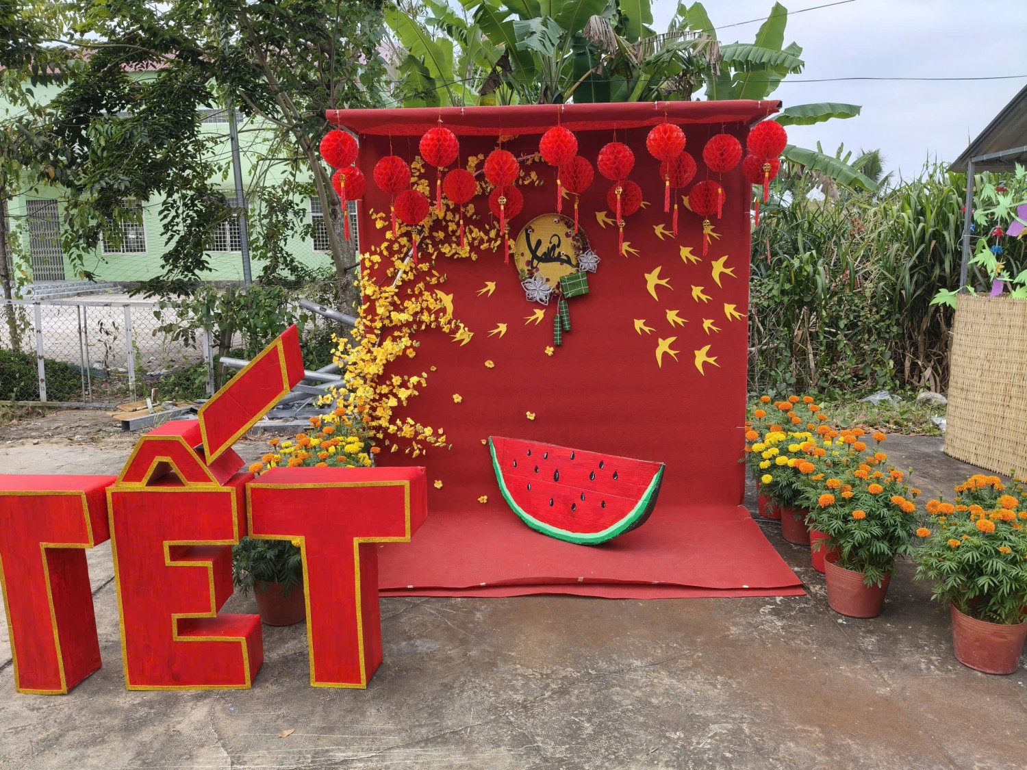 MỪNG XUÂN BÌNH NGỌ – NIỀM VUI LAN TỎA